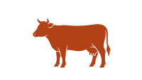 Beef