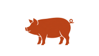 Pork